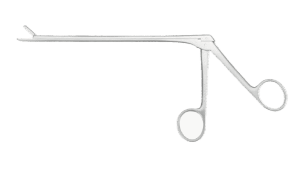 capture d’écran 2025 09 25 à 19.03 avec arrière plan supprimé.00
