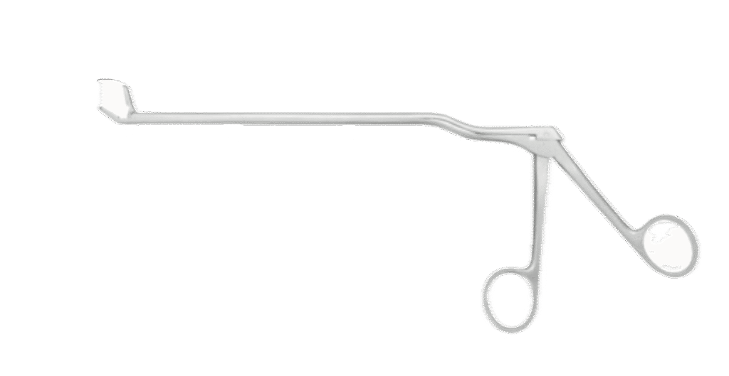 capture d’écran 2025 09 25 à 19.03 avec arrière plan supprimé.33