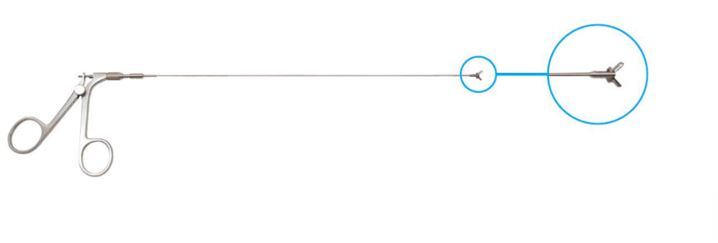 accessory 1 e1778521652295.png